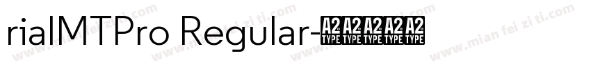 rialMTPro Regular字体转换